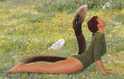 Hatha Yoga Bhujangasana | Asana ejercicio "Cobra" de Bogumila Bara Dausend con una cobra como s�mbolo y prado salvaje de flores en el trasfondo. Fotomontaje &copy; 2007 Bogumila & Lutz Dausend