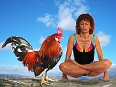Hatha Yoga Kukkutasana | Asana Übung "Hahn" von Bogumila Bara Dausend mit Hahn und im Hintergrund eine Landschaft. Bogumila & Lutz Dausend