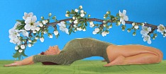 Hatha Yoga Supta Virasana | Asana ejercicio "H�roe" de Bogumila Bara Dausend con flores de cerezo como decoraci�n. Fotomontaje &copy; 2007 Bogumila & Lutz Dausend