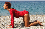 Cat Cakravacasana 
