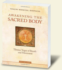image of the Book "Awakening the Sacred Body" by Tenzin Wangyal Rinpoche (ISBN: 1-59179-427-7)